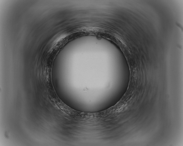 X0000096681016200802191348