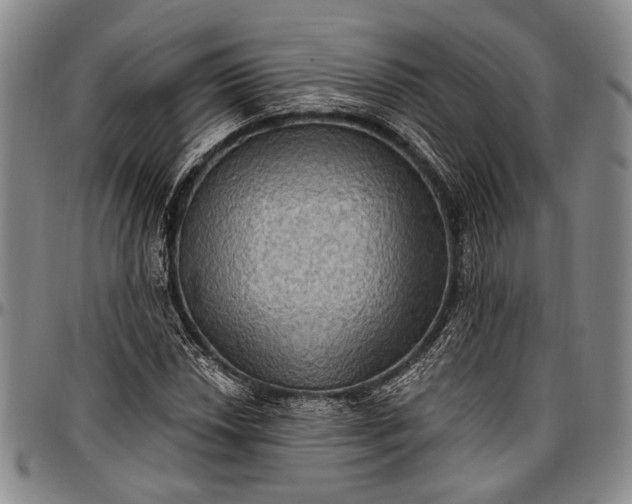 X0000096681018200802191348