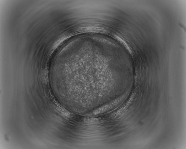 X0000096681019200802191348