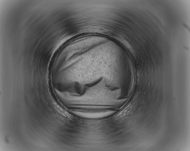 X0000096681020200802191348