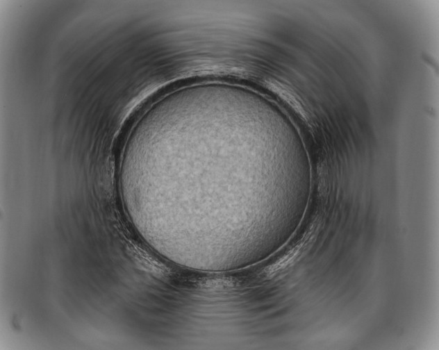 X0000096681021200802191348