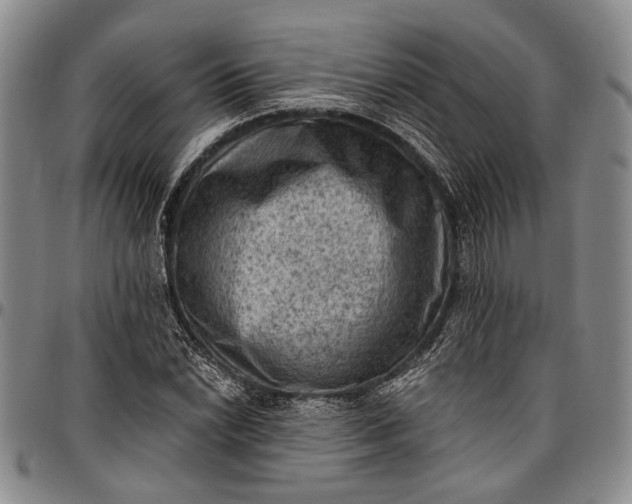 X0000096681022200802191348