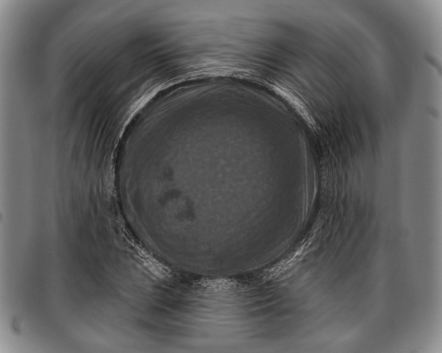 X0000096681023200802191348