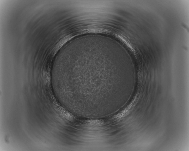 X0000096681025200802191348