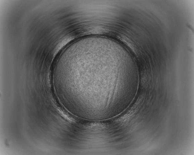 X0000096681026200802191348