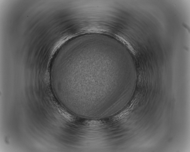 X0000096681027200802191348