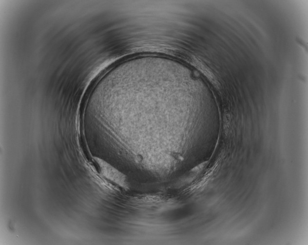 X0000096681028200802191348