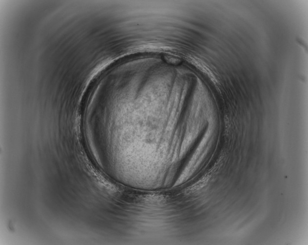 X0000096681029200802191348