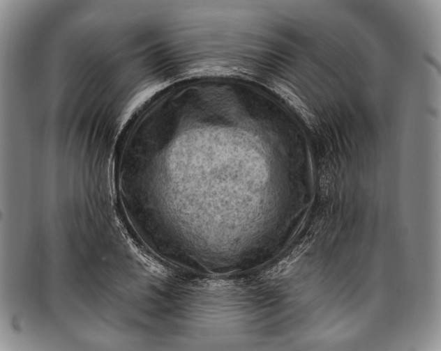 X0000096681030200802191348