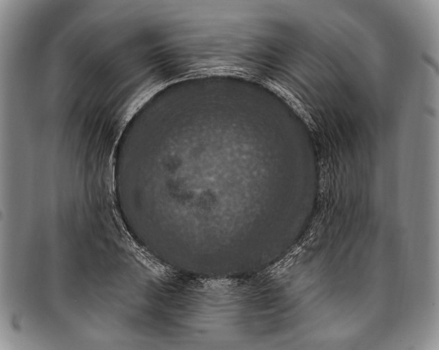 X0000096681031200802191348