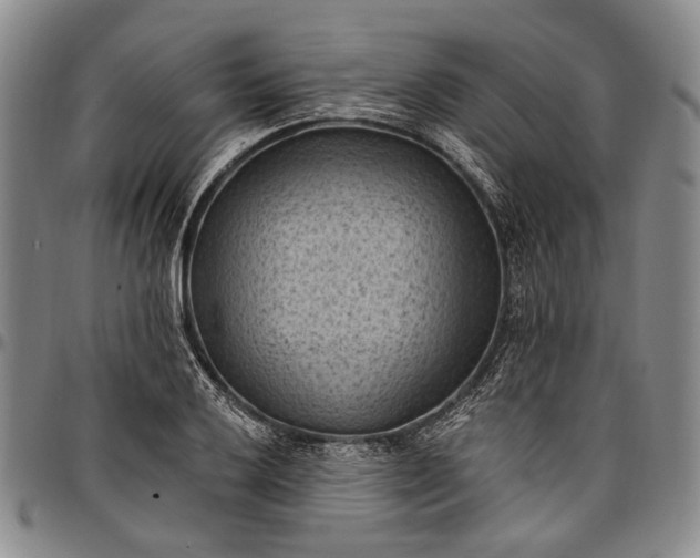 X0000096681032200802191348
