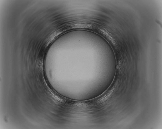 X0000096681033200802191348