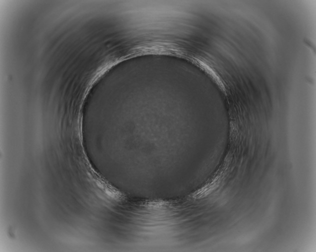 X0000096681035200802191348