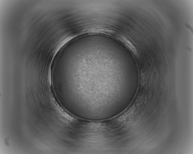 X0000096681036200802191348