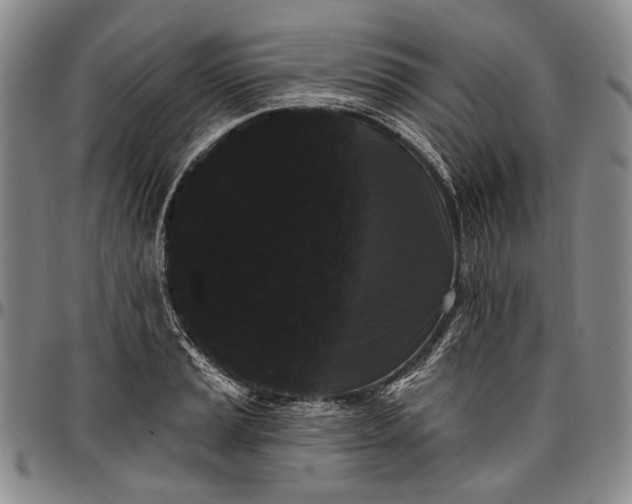 X0000096681037200802191348