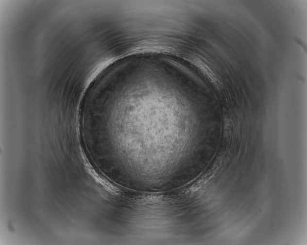 X0000096681038200802191348