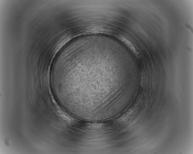 X0000096681039200802191348