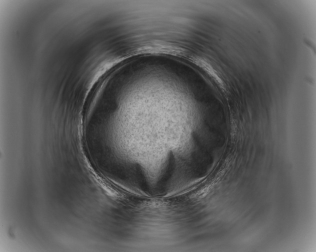 X0000096681040200802191348