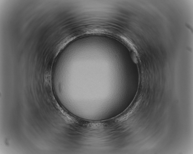 X0000096681041200802191348