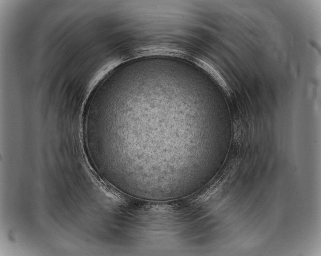 X0000096681043200802191348