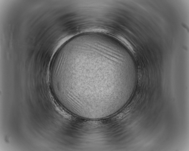 X0000096681044200802191348