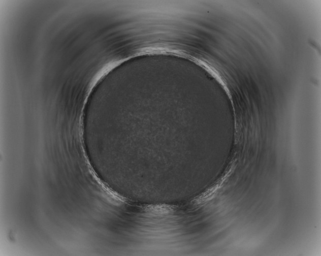 X0000096681045200802191348
