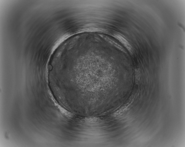 X0000096681046200802191348