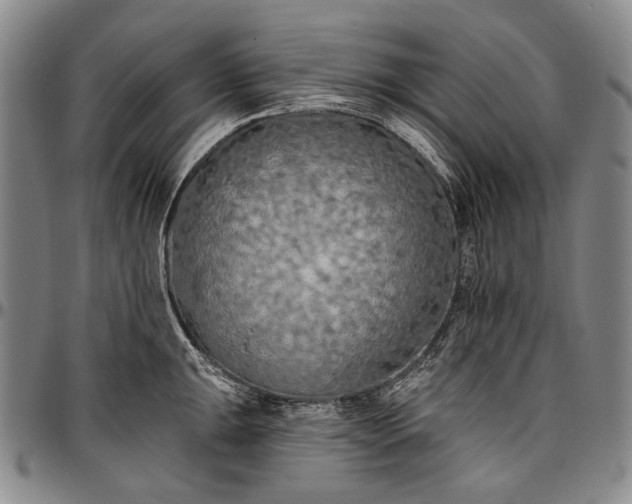 X0000096681047200802191348