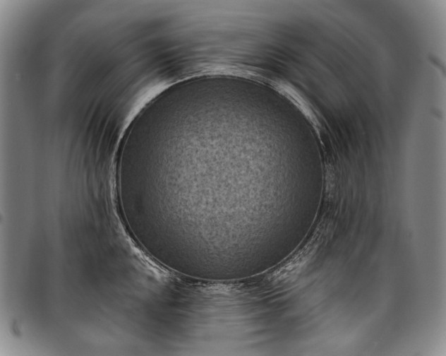 X0000096681048200802191348
