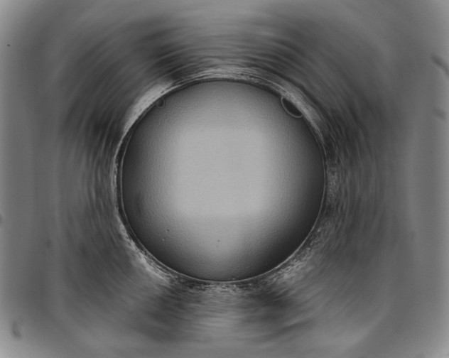 X0000096681050200802191348