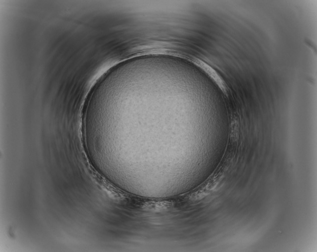 X0000096681051200802191348
