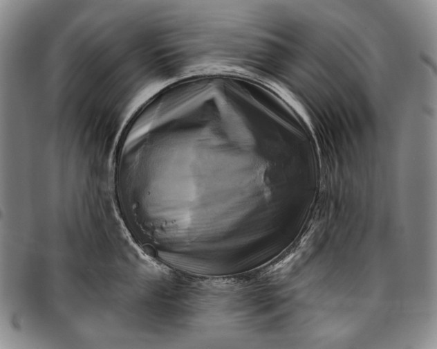 X0000096681053200802191348