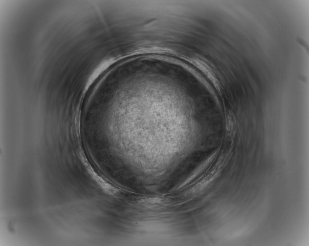 X0000096681054200802191348