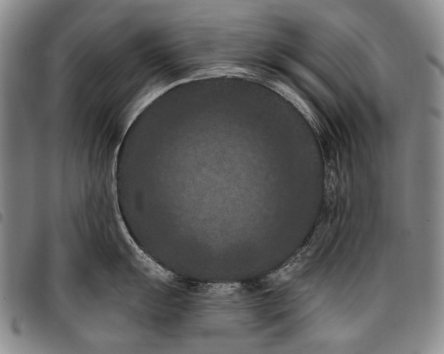 X0000096681055200802191348