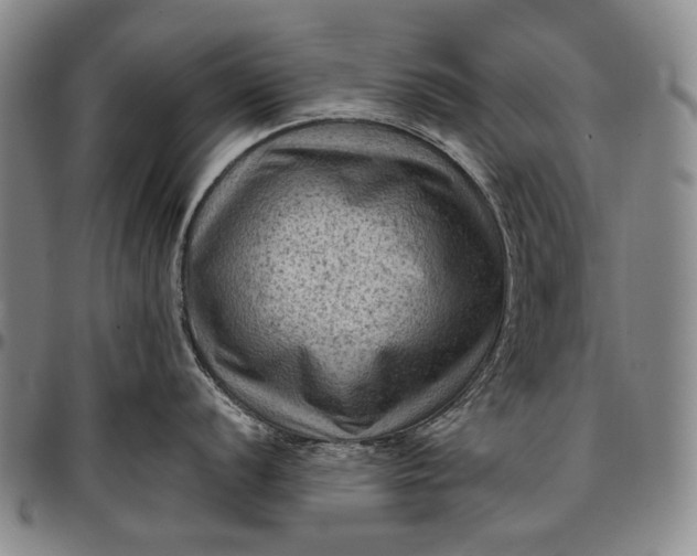 X0000096681056200802191348