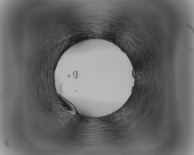 X0000096681057200802191347