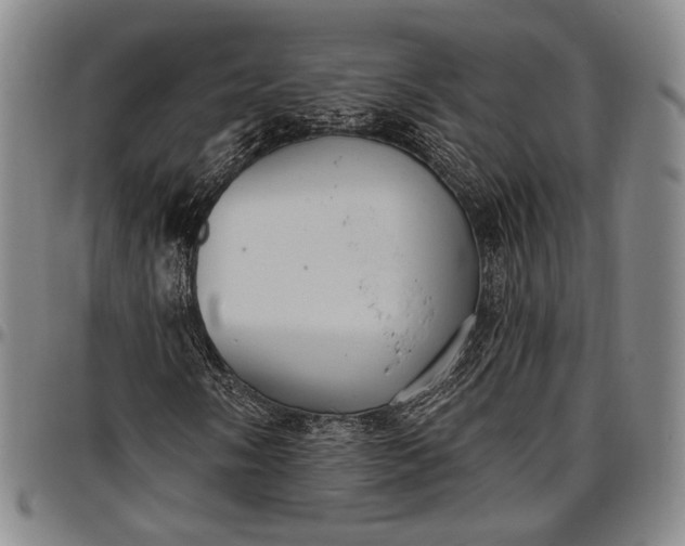X0000096681058200802191347