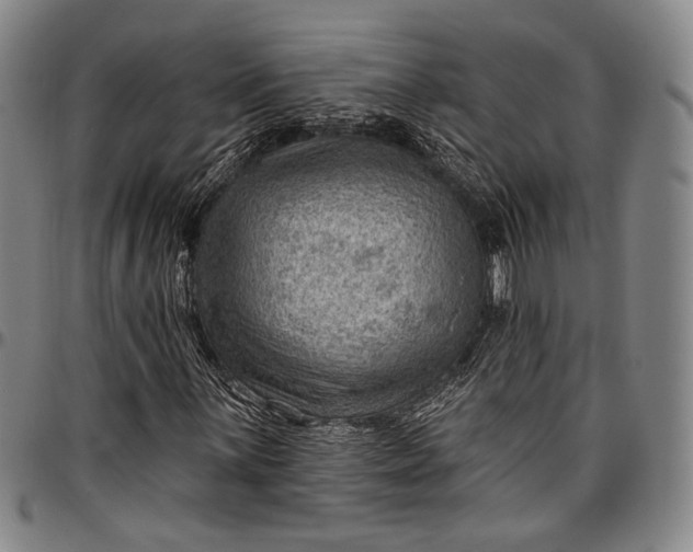 X0000096681059200802191347