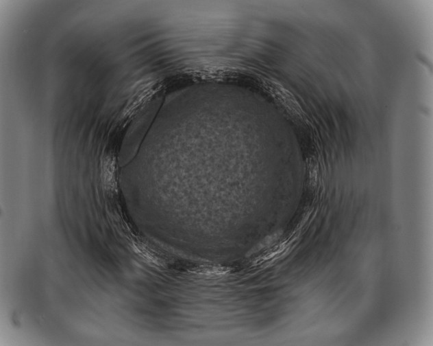 X0000096681060200802191347