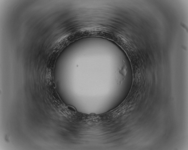 X0000096681062200802191347