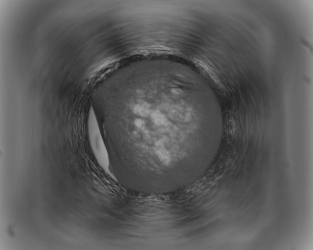 X0000096681063200802191347