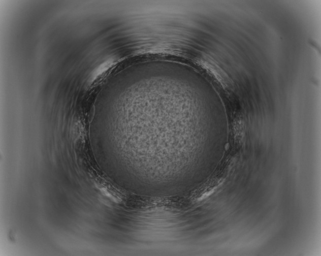 X0000096681064200802191347