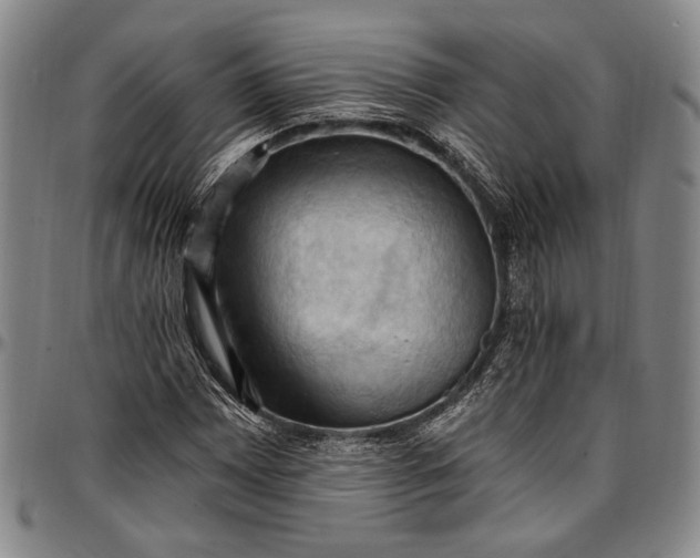 X0000096681065200802191347