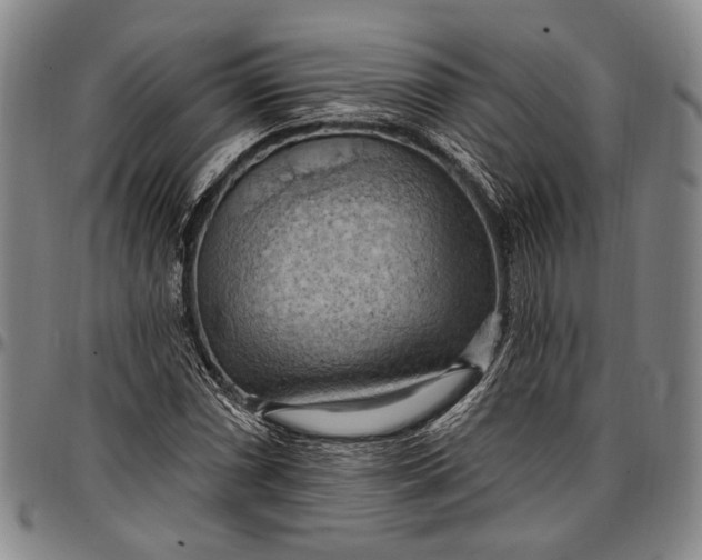 X0000096681066200802191347