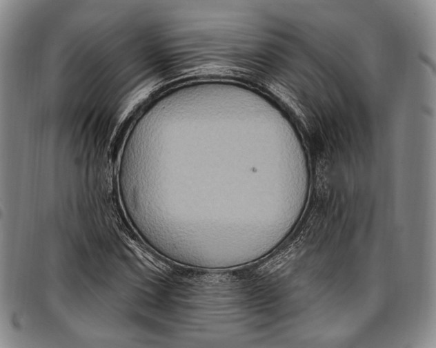 X0000096681067200802191347