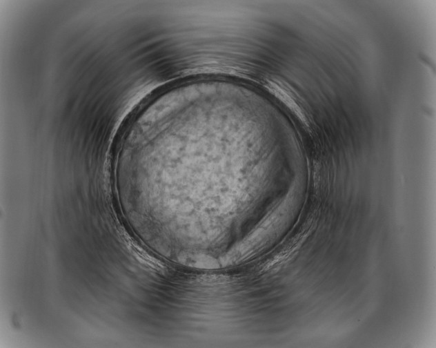 X0000096681068200802191347
