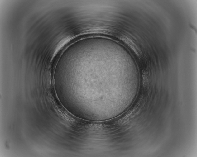 X0000096681069200802191347