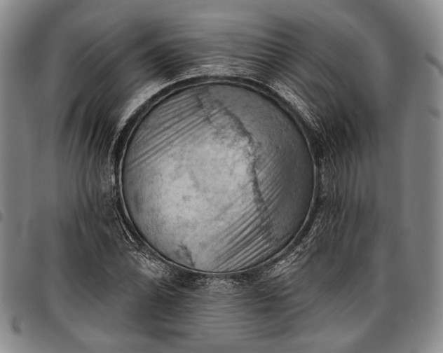 X0000096681070200802191347