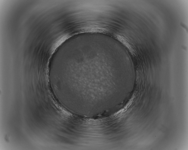 X0000096681071200802191347
