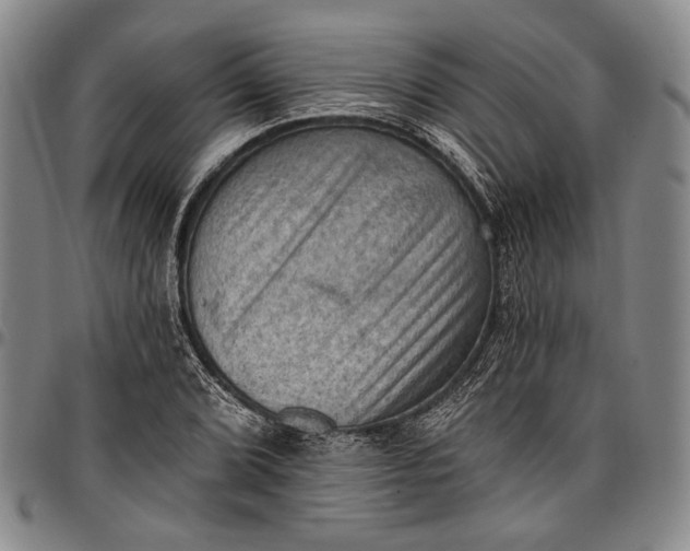X0000096681072200802191347